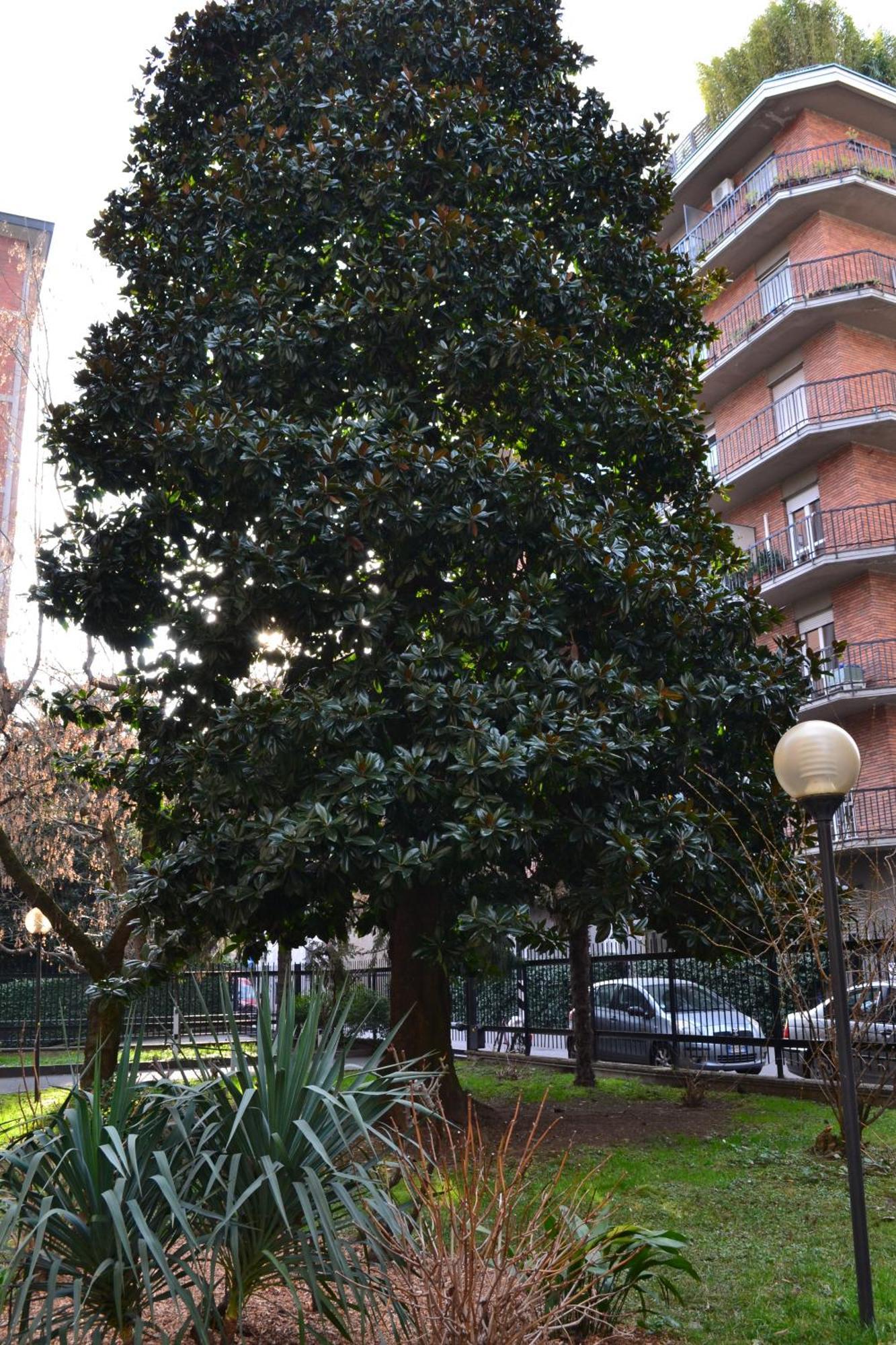 Mocenigo4 Apartment Milano Ngoại thất bức ảnh